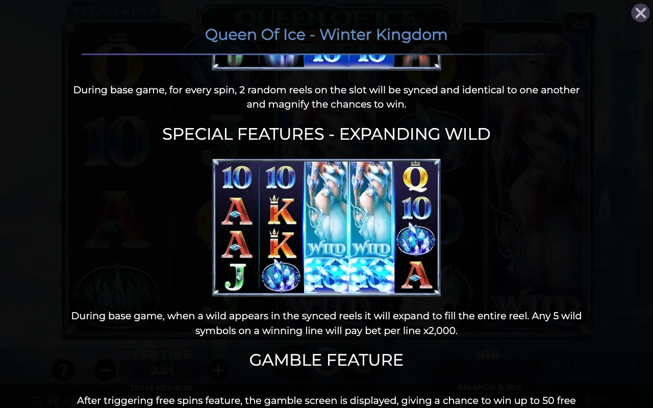 Special features - expanding wild — Queen of Ice Winter Kingdom