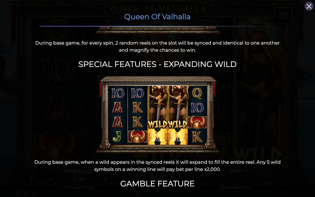 Special features - expanding wild — Queen of Valhalla