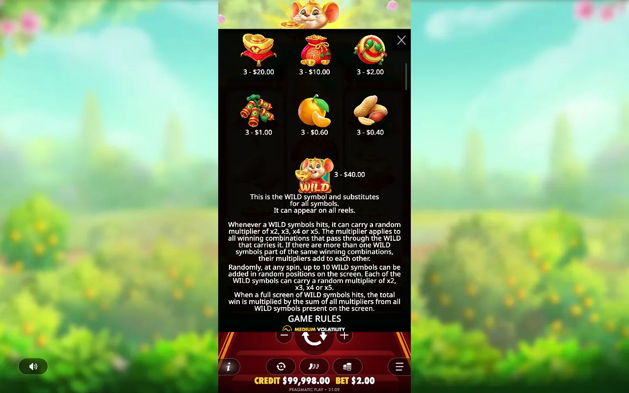Game rules, page 2 — Ratinho Sortudo