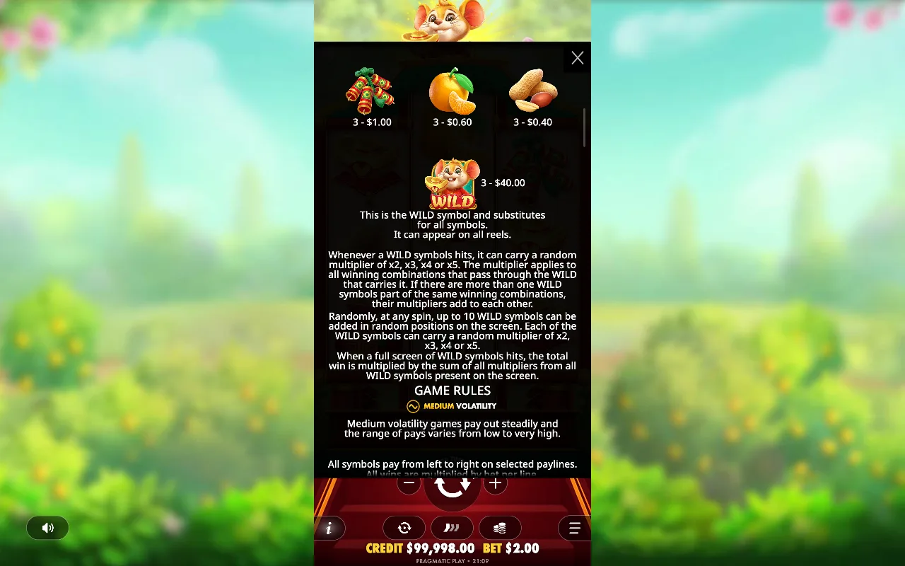 Game rules, page 3 — Ratinho Sortudo