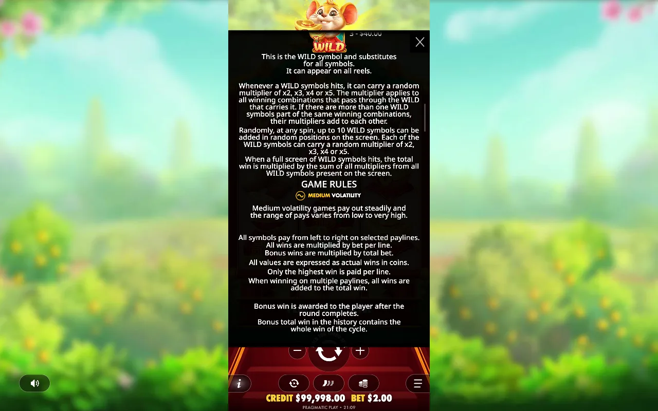 Game rules, page 5 — Ratinho Sortudo