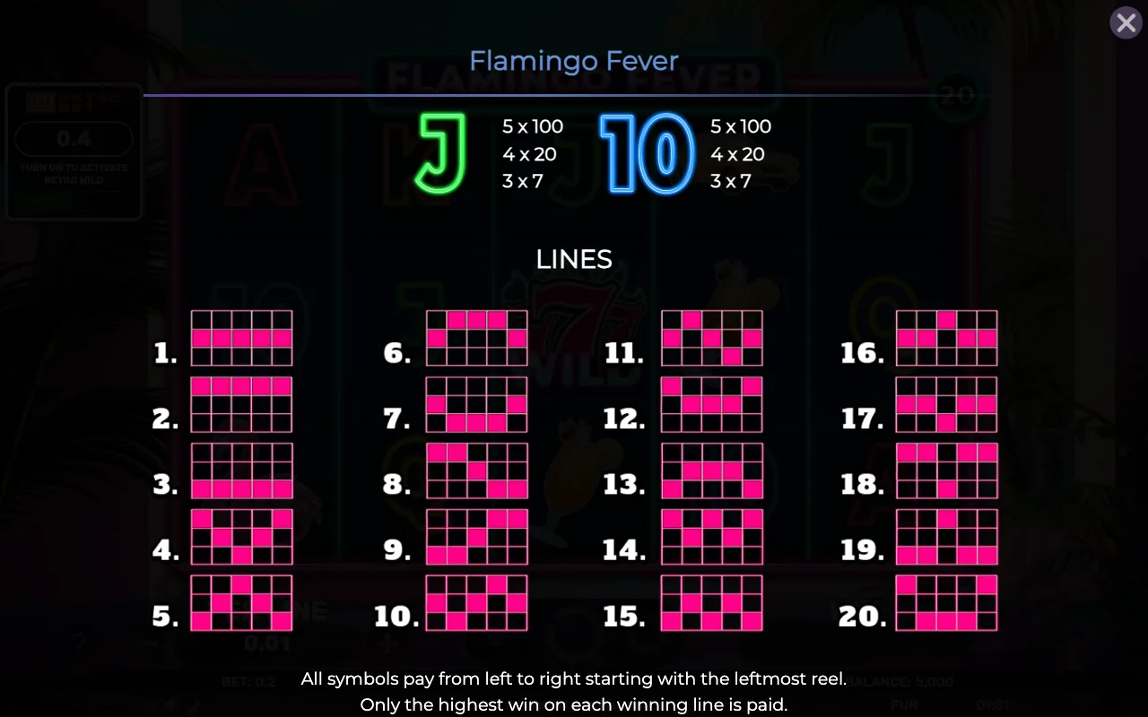 Game rules, page 5 — Retro Flamingo Fever