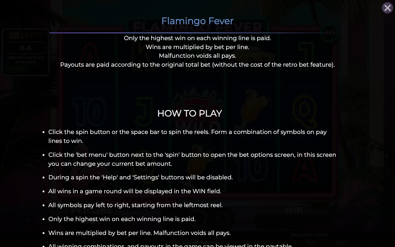 How to play — Retro Flamingo Fever