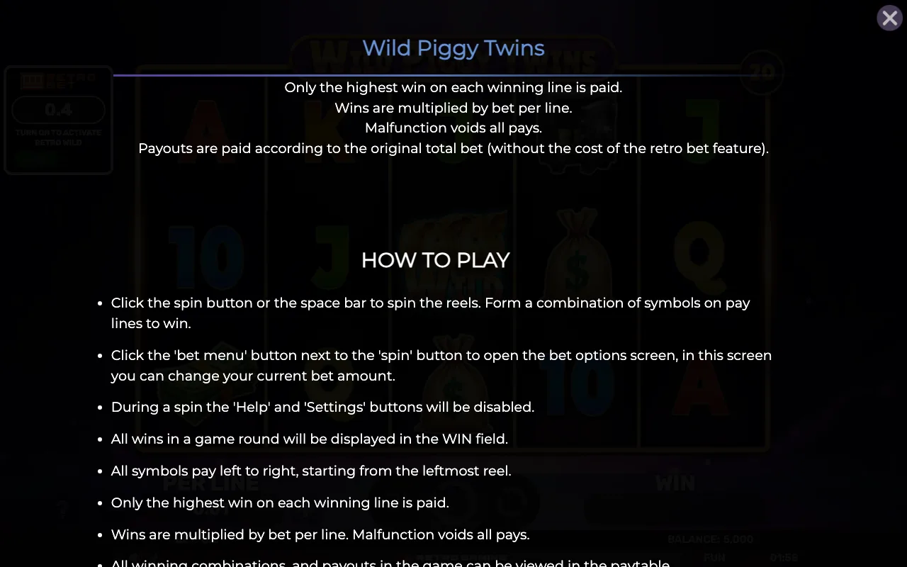 How to play — Retro Wild Piggy Twins