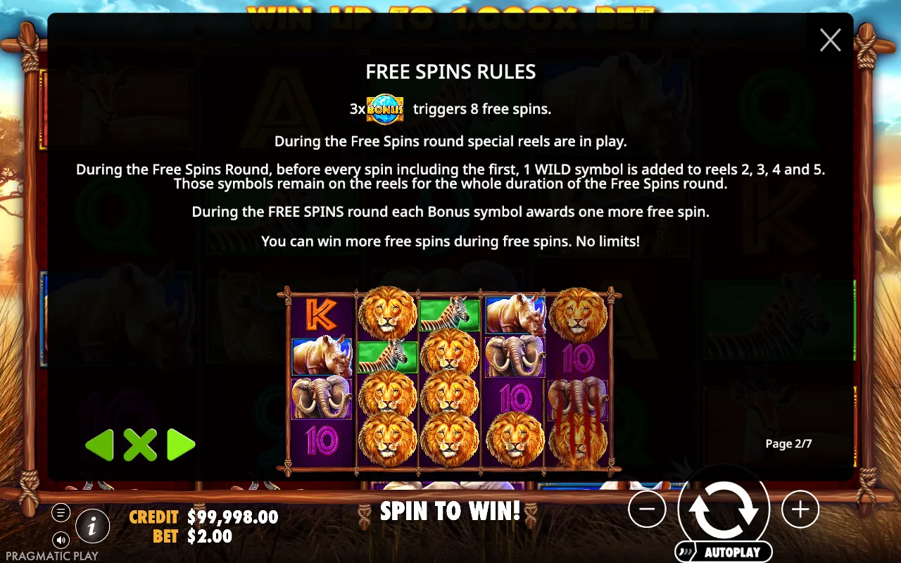 Free spins rules — Safari King