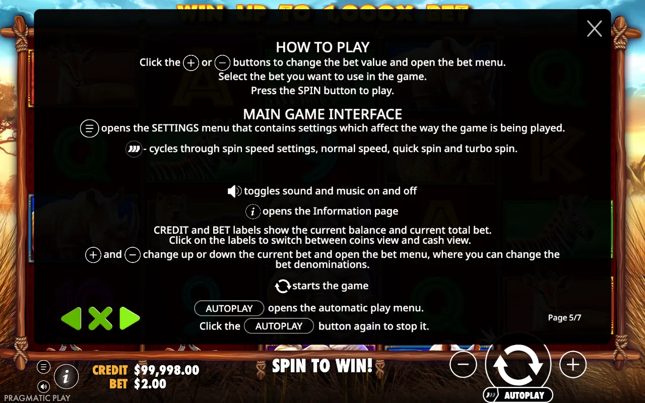 How to play — Safari King
