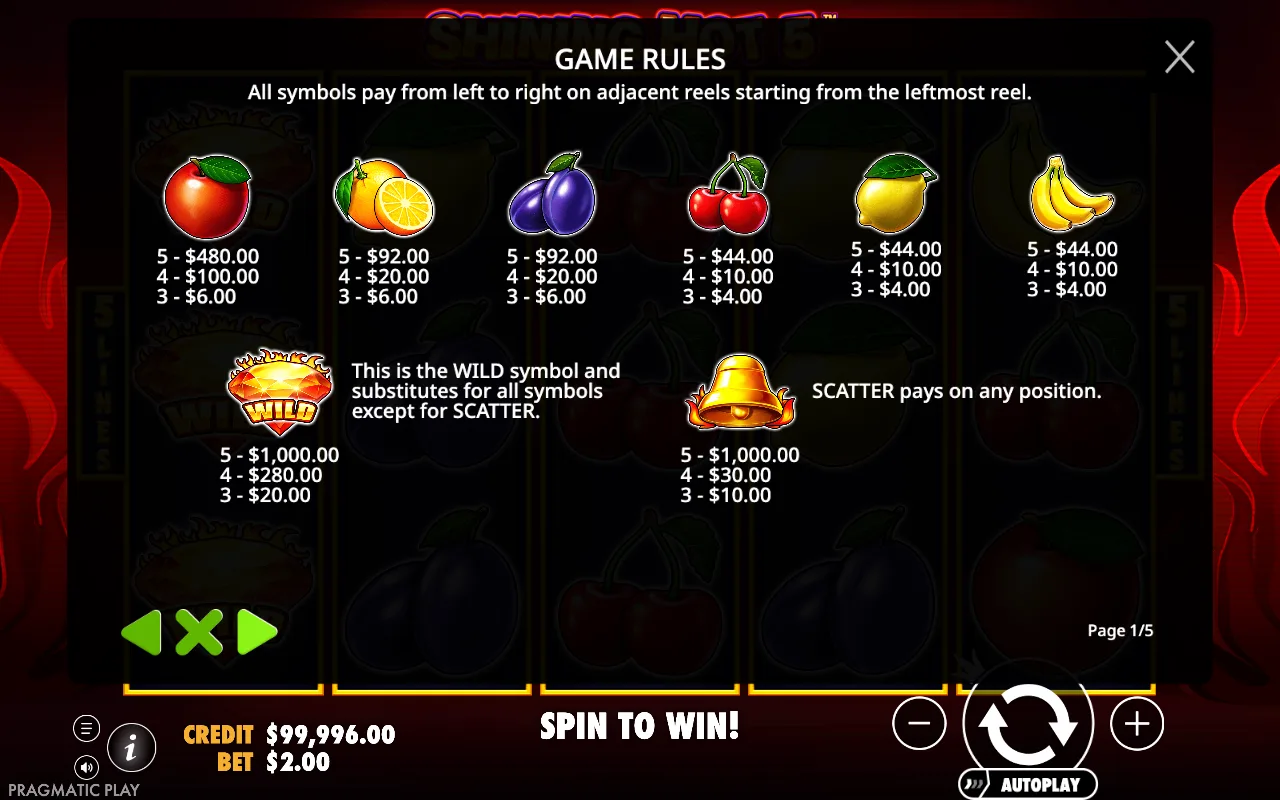 Game rules, page 6 — Shining Hot 5