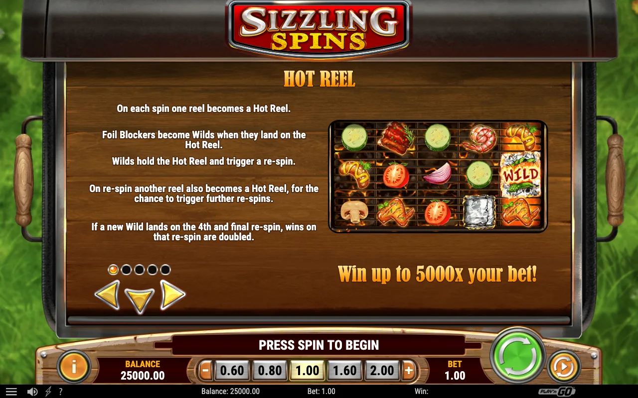 Spins — Sizzling Spins