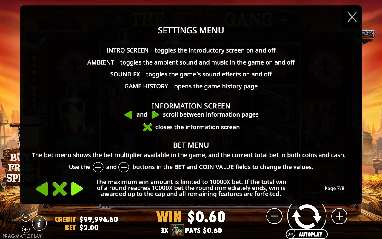 Settings menu — The Wild Gang