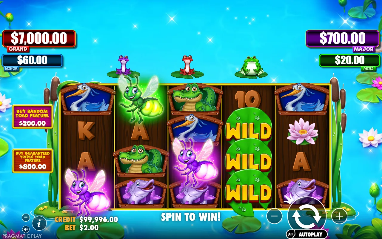 The base game — Tiny Toads