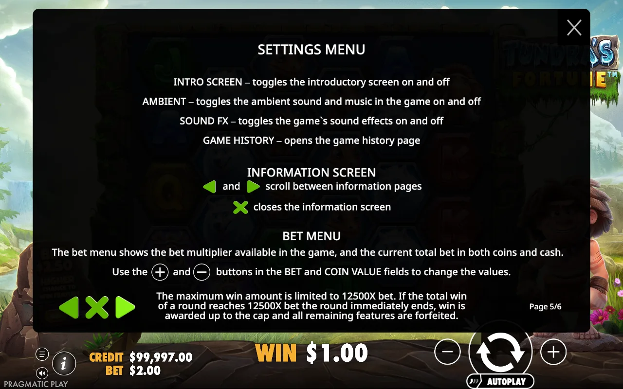 Settings menu — Tundra's Fortune