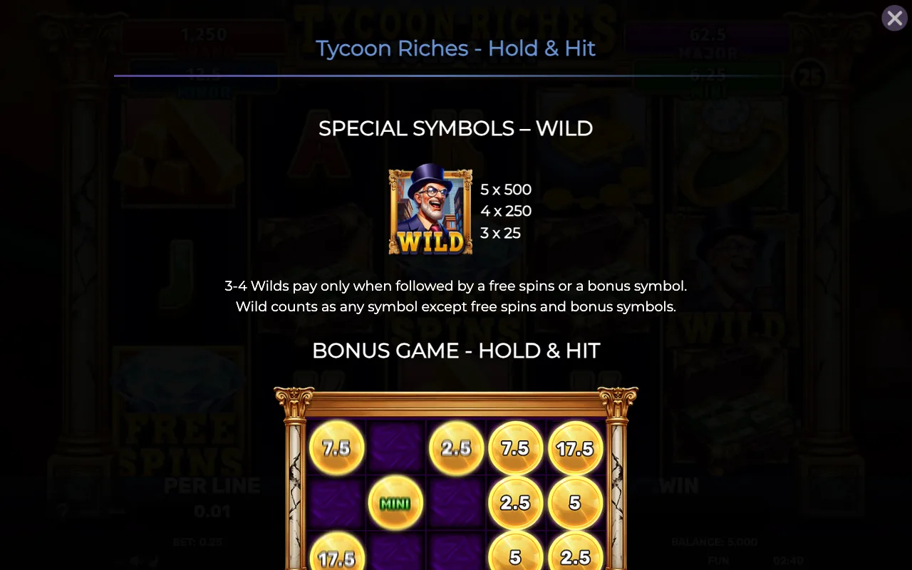 Special symbols - wild — Tycoon Riches Hold Hit