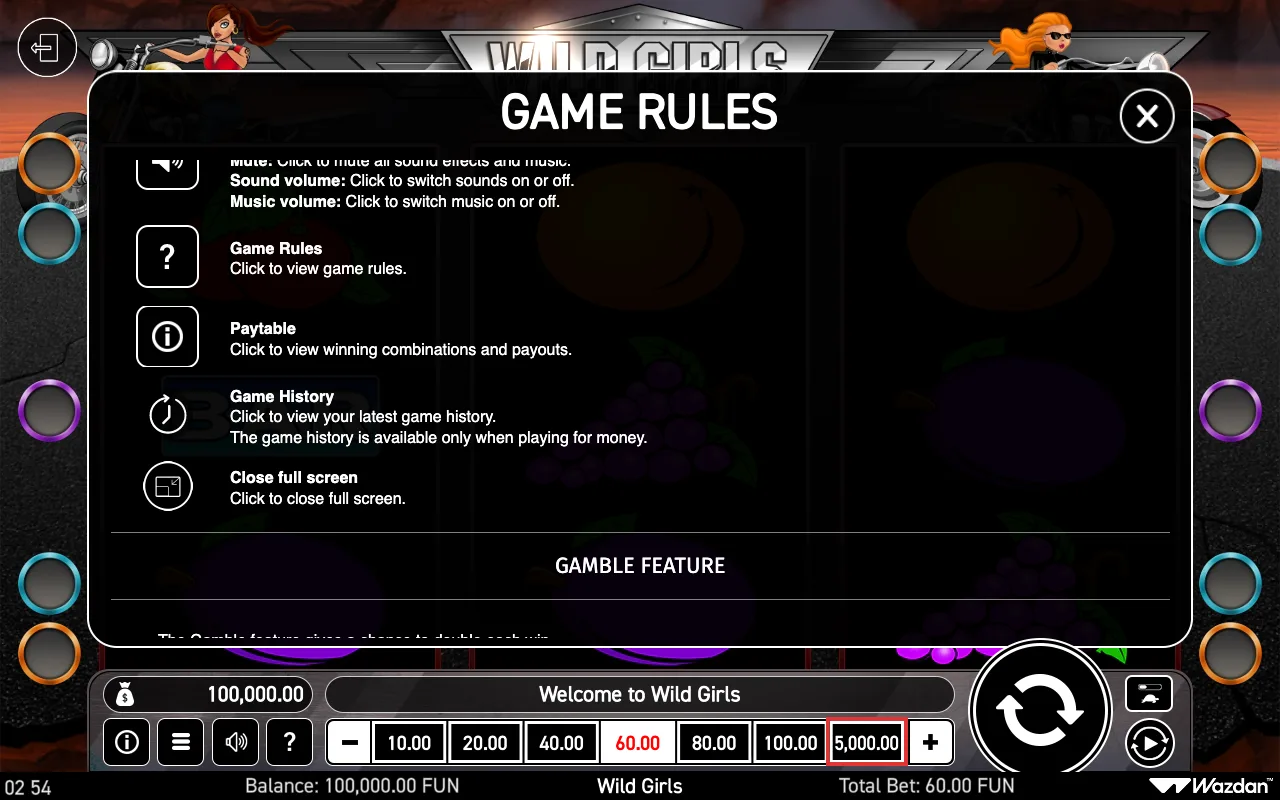 Game rules, page 6 — Wild Girls